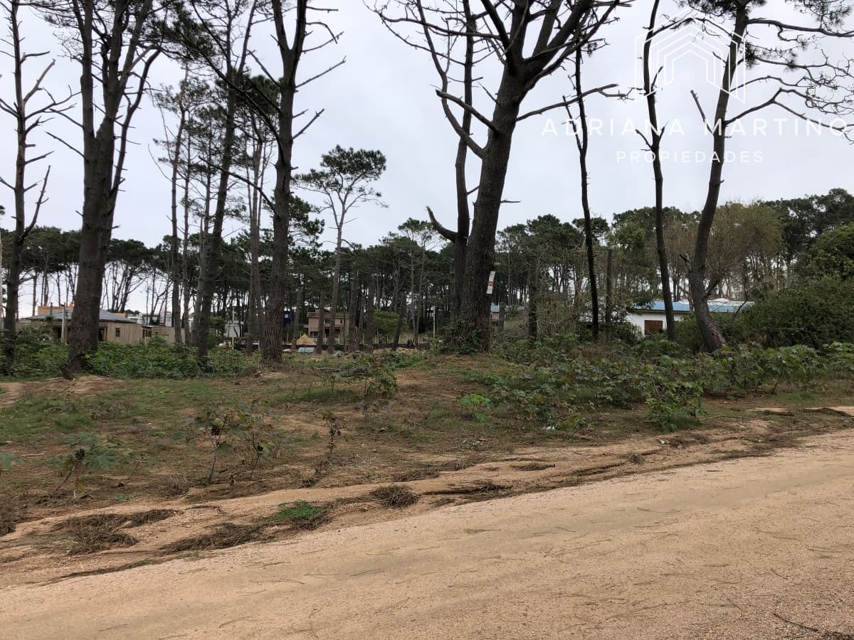 Terreno en La Barra, Montoya