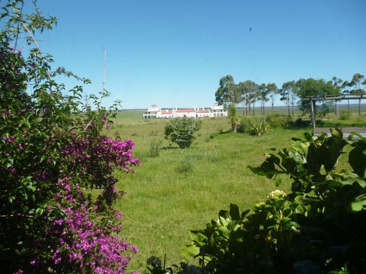 Chacra en  - Punta del Este - Zona Jose Ignacio