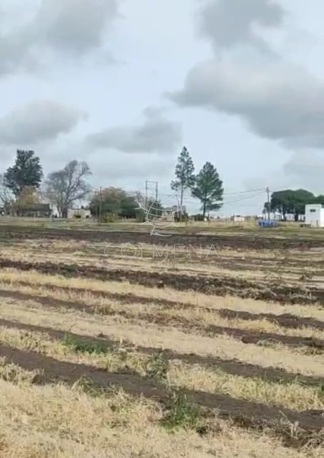 Campo en Canelones
