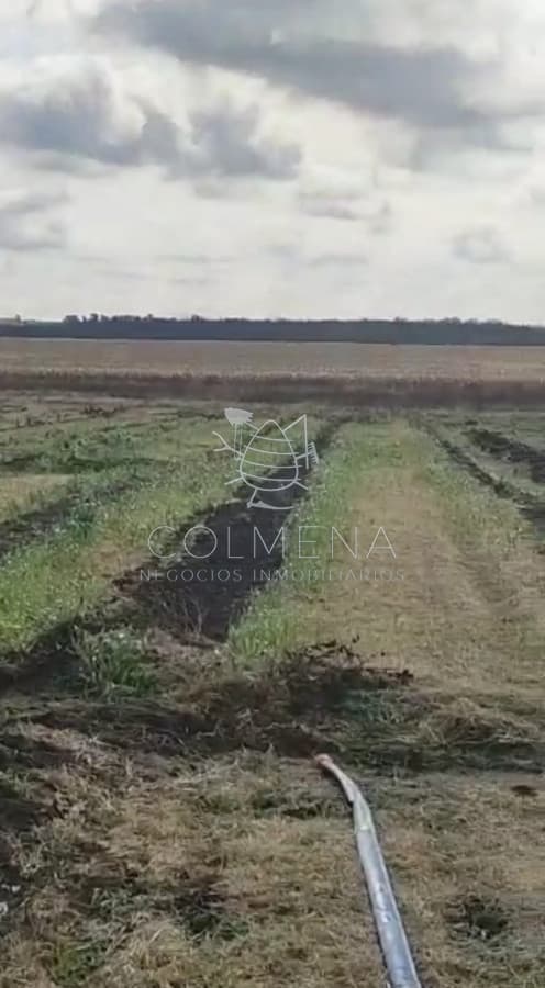 Campo en Canelones