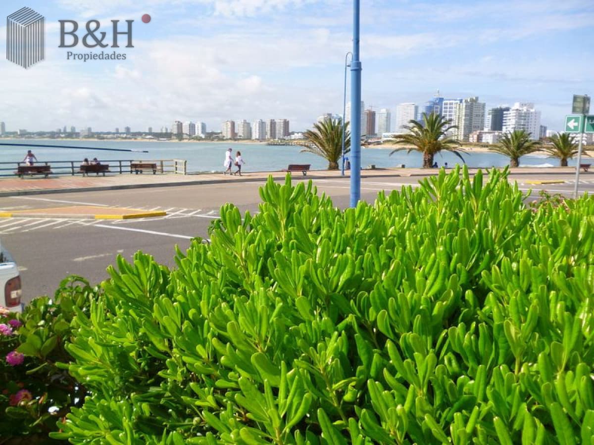 EXCLUSIVO APARTAMENTO EN PENINSULA EN VENTA