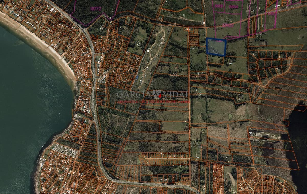 Punta del Este - Uruguay