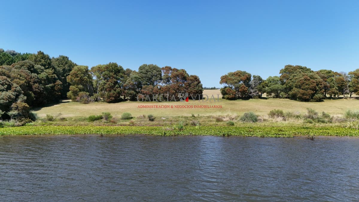 Punta del Este - Uruguay