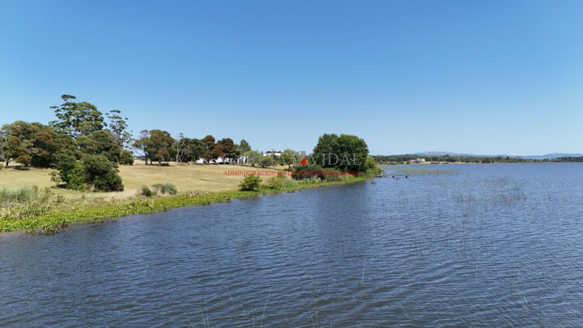 Punta del Este - Uruguay