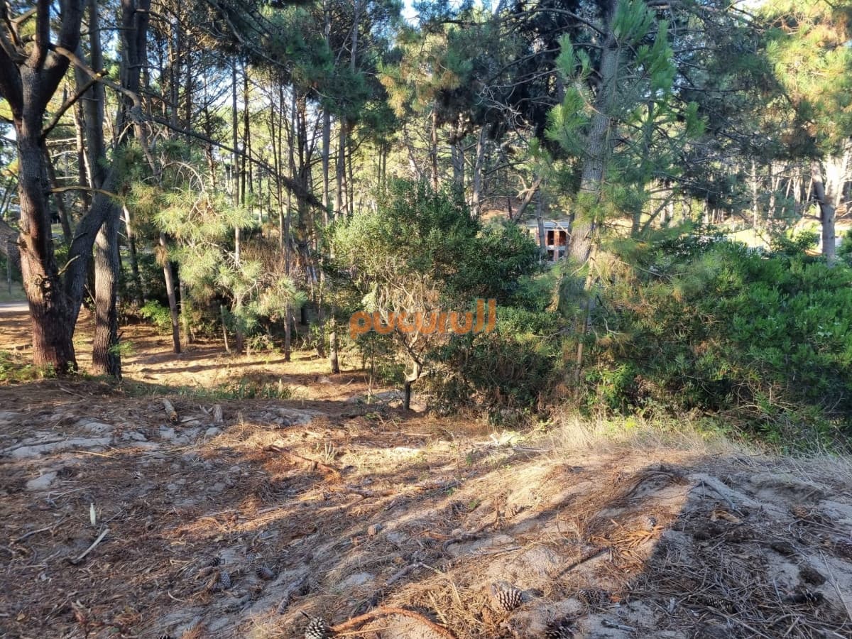 Venta de Lote en club del Lago 2628m2.