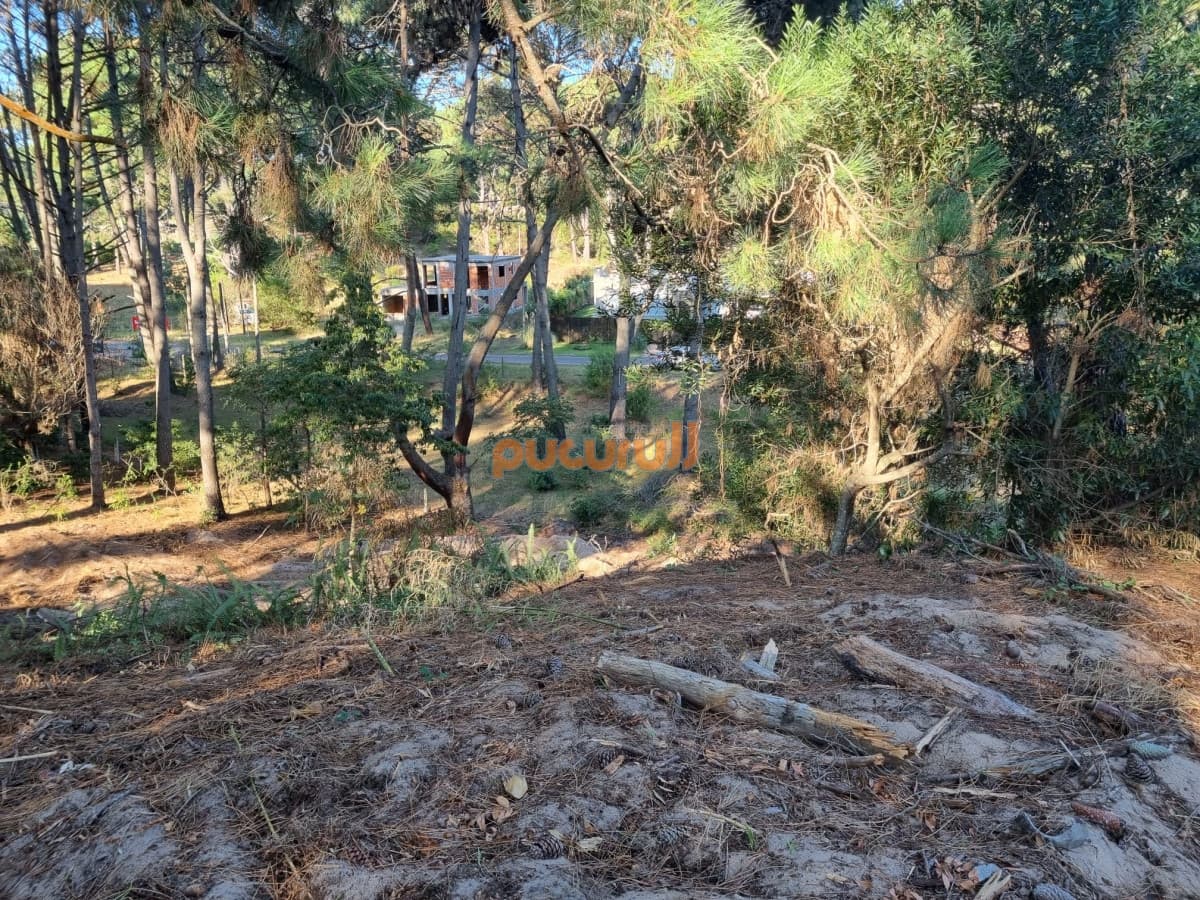 Venta de Lote en club del Lago 2628m2.