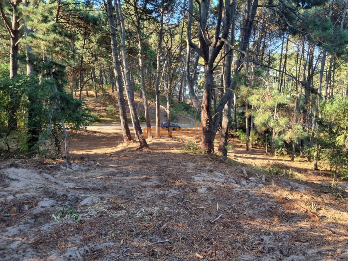 Venta de Lote en club del Lago 2628m2.
