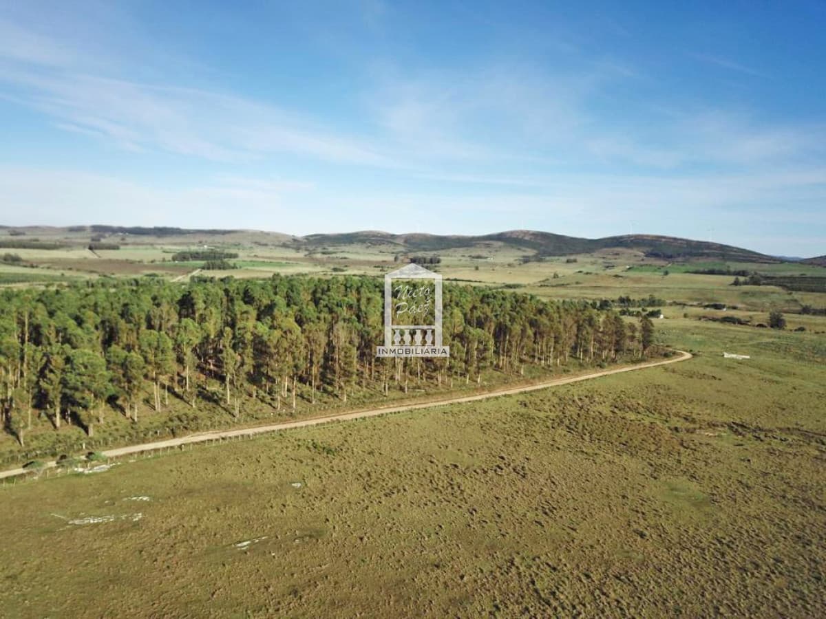 Sierra de los Caracoles, ruta 39. Pequeña Toscana