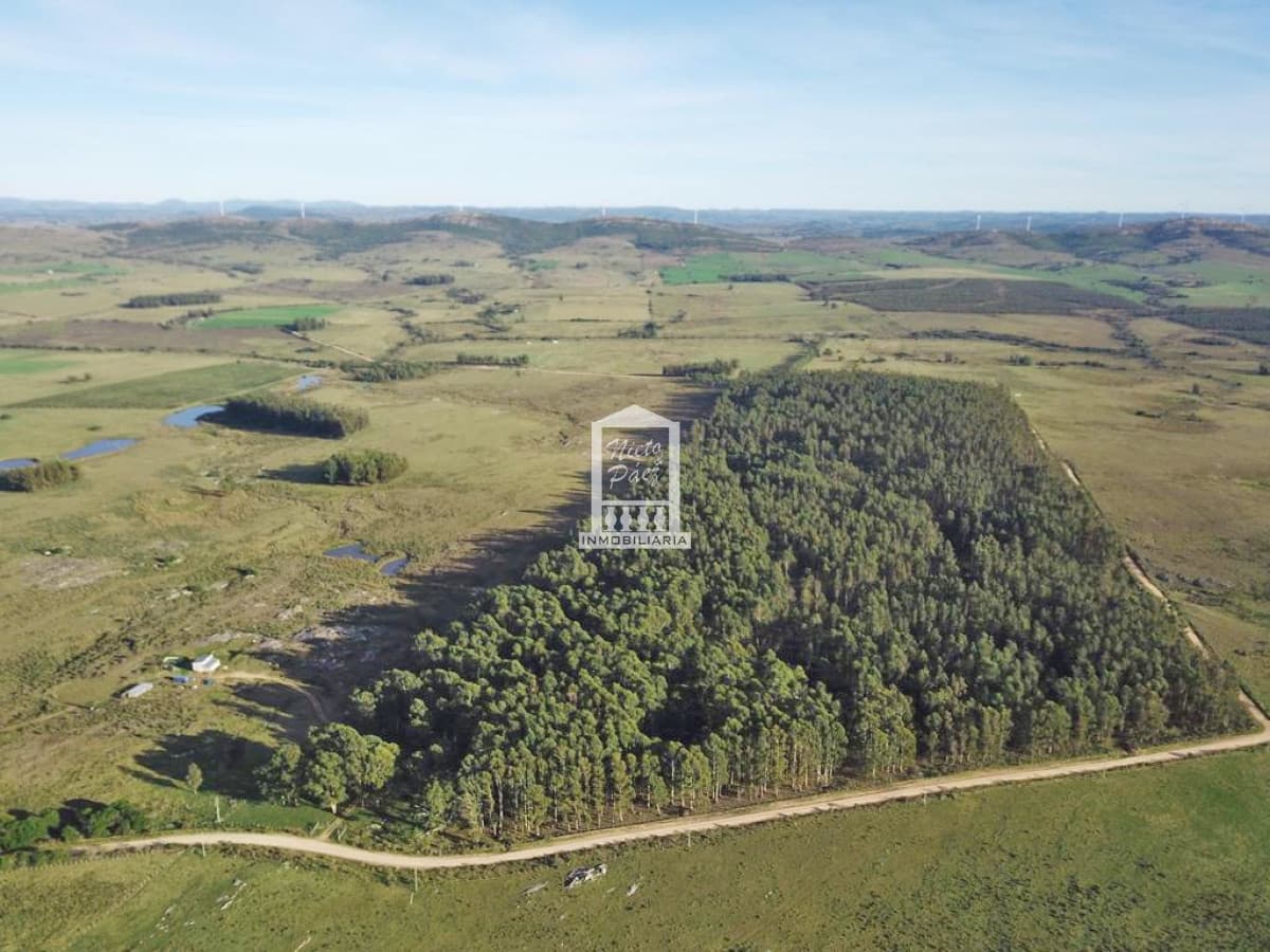 Sierra de los Caracoles, ruta 39. Pequeña Toscana