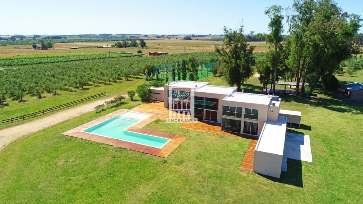 Mega chacra, 750 m2 construidos, 9 dorm, piscina cubierta, 2.700 olivos