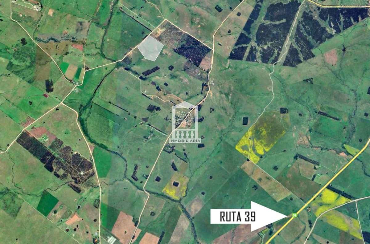 10 has en Sierra de los Caracoles, ruta 39. Pequeña Toscana