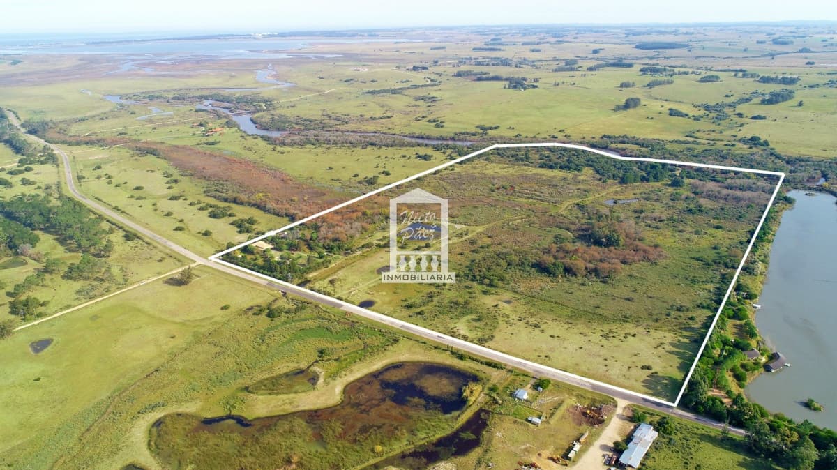 José Ignacio, 38 hectáreas, sobre camino Sainz Martínez con costa de arroyo