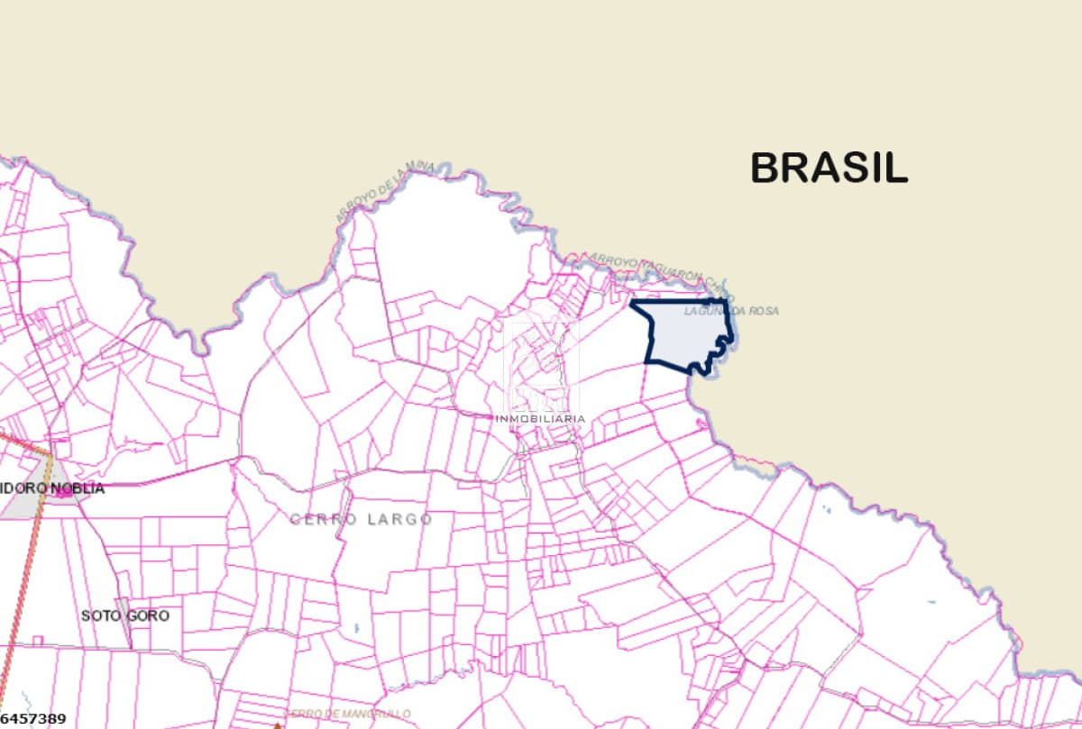 Cerro Largo, 246 has con monte nativo, en la frontera con Brasil