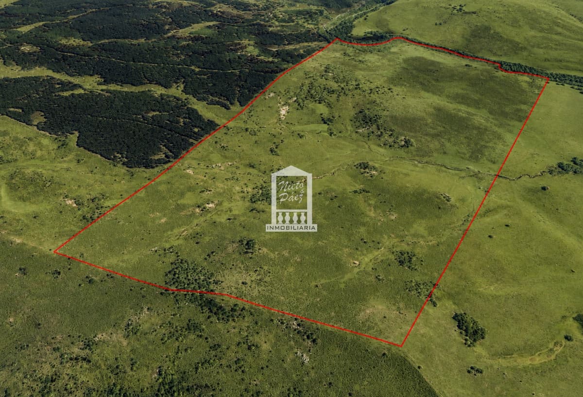 111 hectáreas a 10 km de Zapicán, Lavalleja