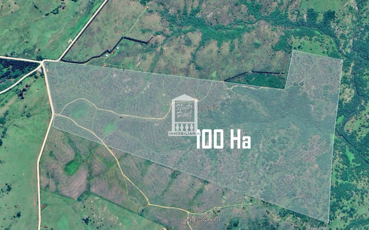 100 hectáreas a 39 km de San Carlos, Paraje Sierras de Carapé.