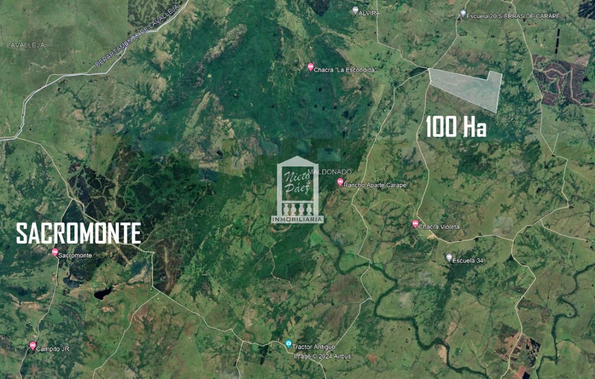 100 hectáreas a 39 km de San Carlos, Paraje Sierras de Carapé.