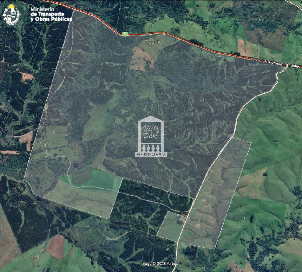 Campo Forestal en Rocha, a 25 km de Castillos.