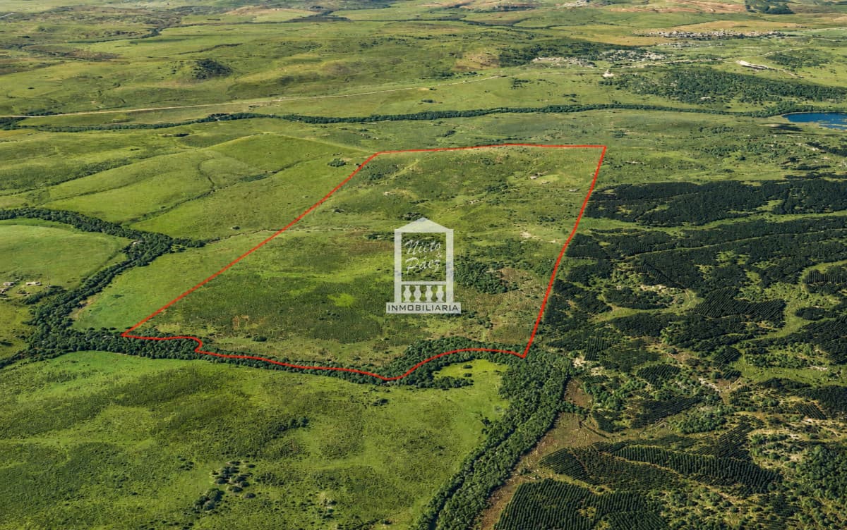 111 hectáreas a 10 km de Zapicán, Lavalleja