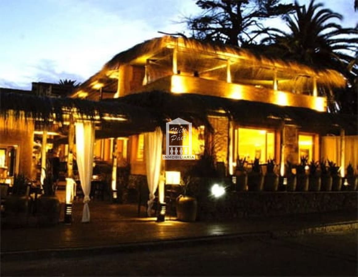 Zona Puerto, ideal gastronomía