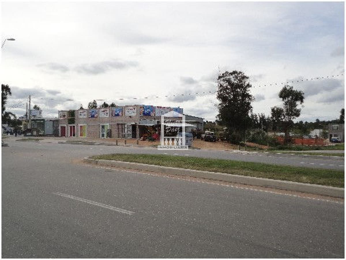 Local en Maldonado, Maldonado