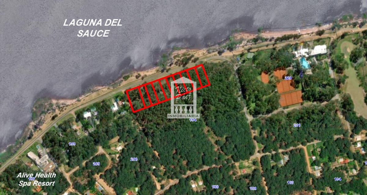 Frente a la laguna, lote alto