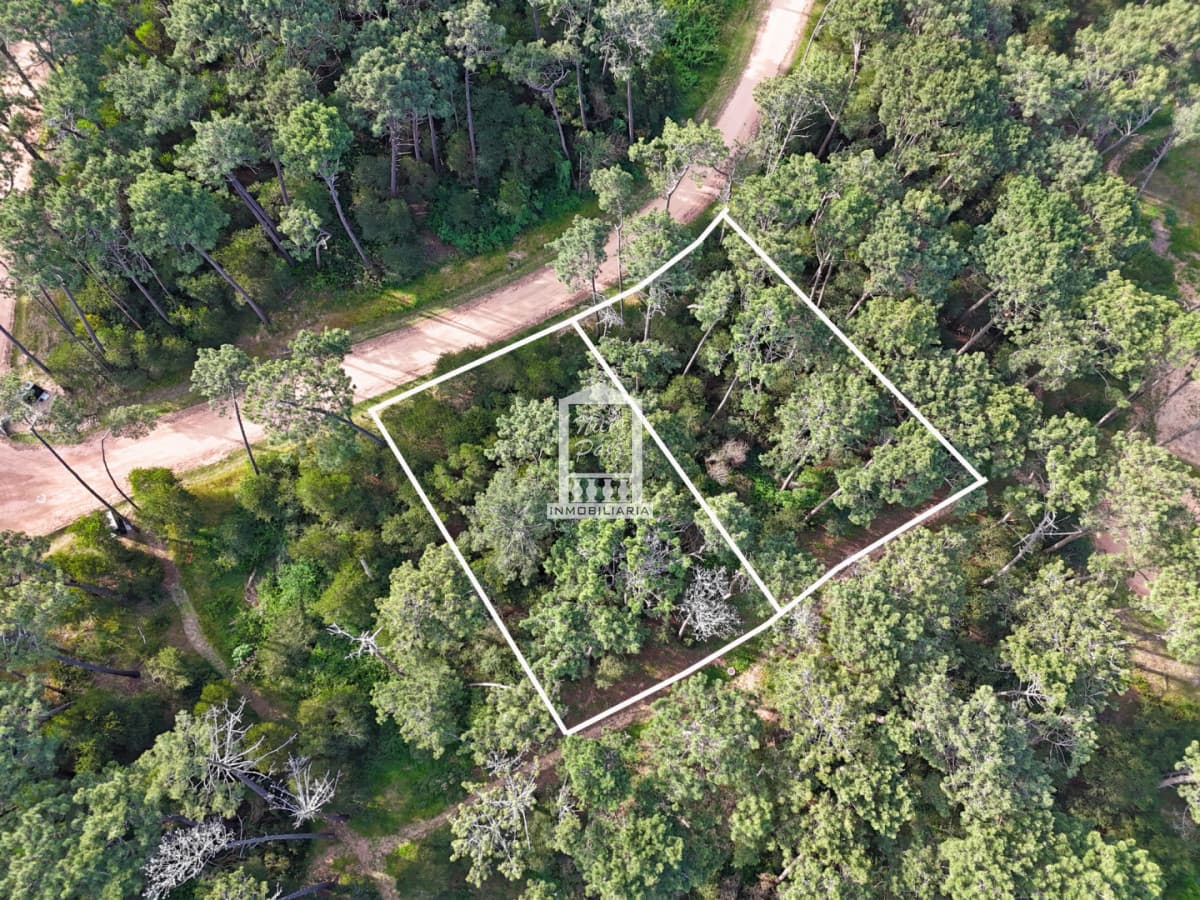 Reserva Montoya, 2.174 m2, 2 lotes juntos