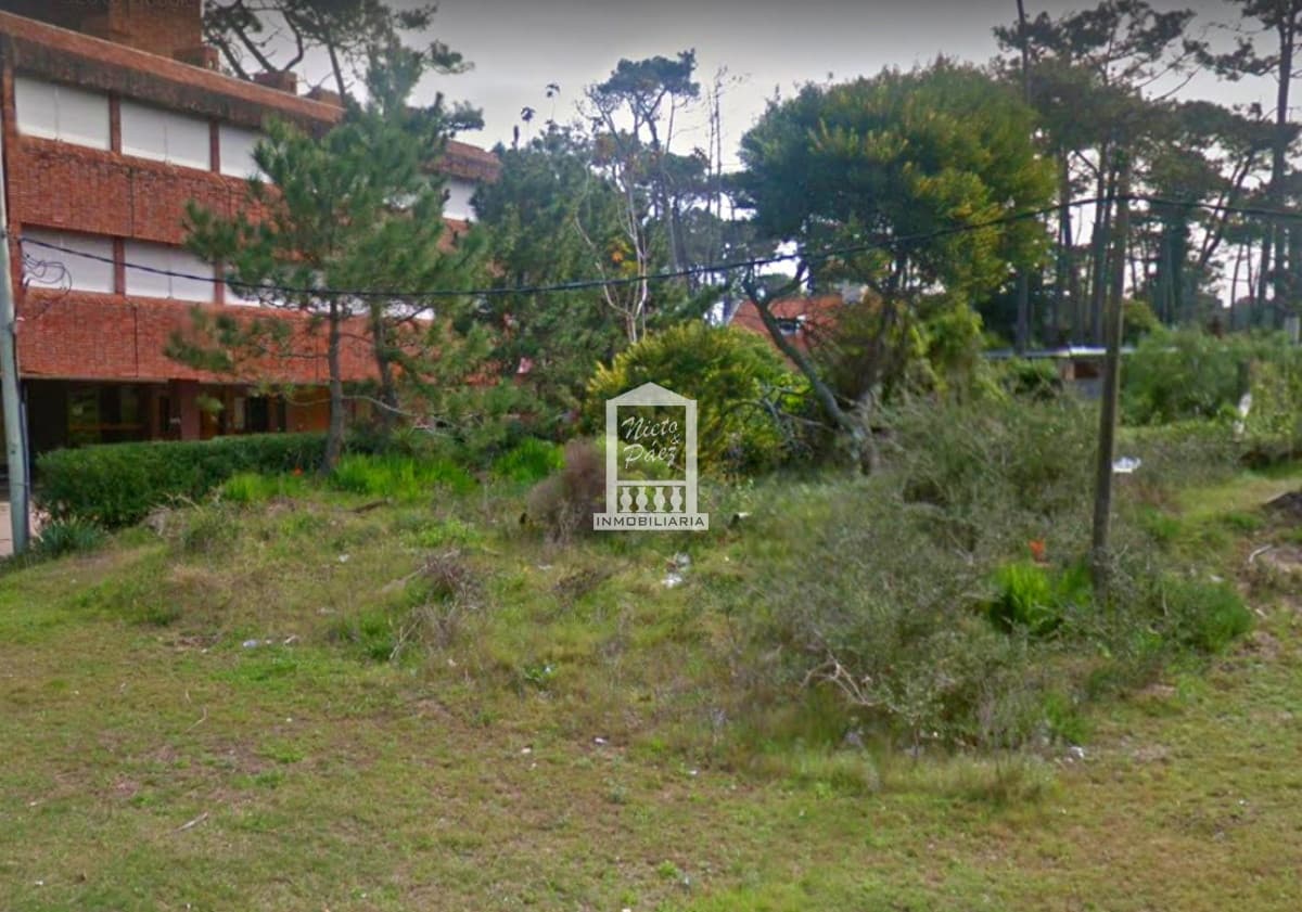 San Rafael, atrás de Cipriani