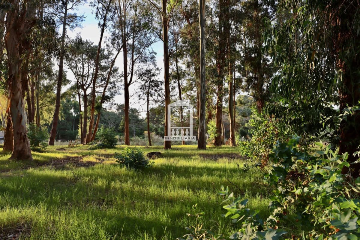 Lote de Reserva Montoya. Barrio Privado