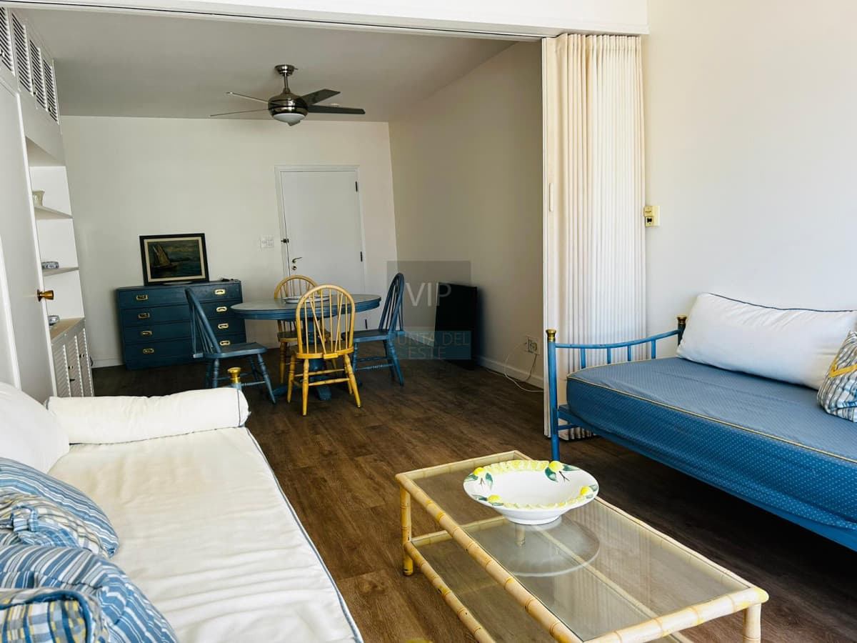 Venta apartamento 1 dormitorio Peninsula con vista