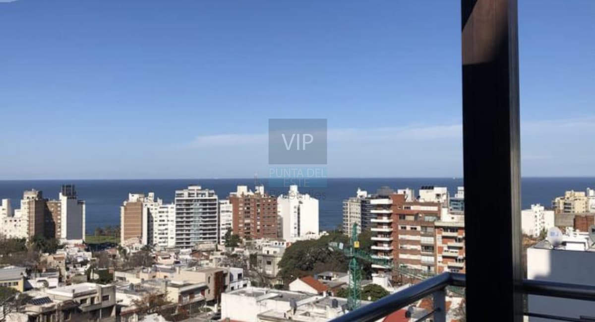 Venta Triplex 5 dormitorios Punta Carretas
