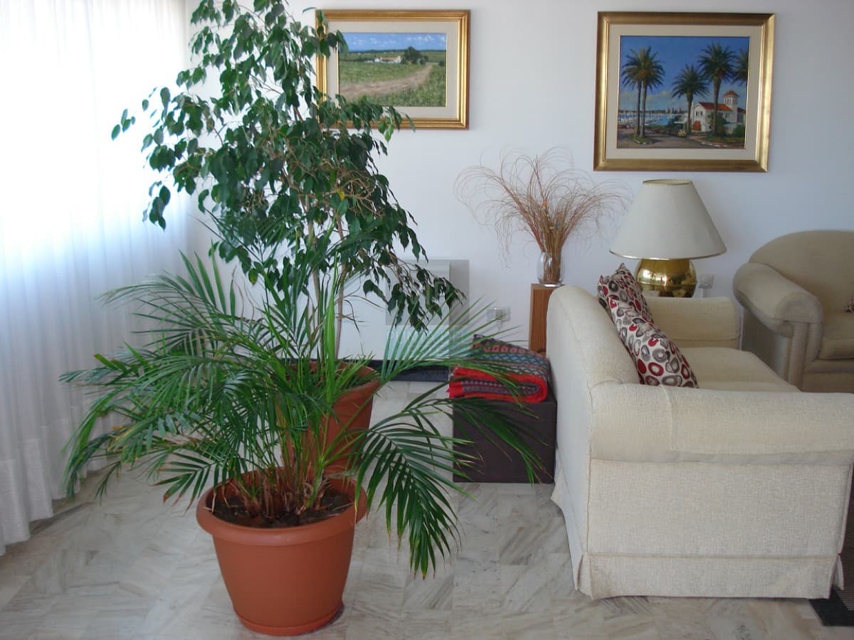 Venta Apartamento 3 dormitorios y Servicio Reciclado Punta del Este
