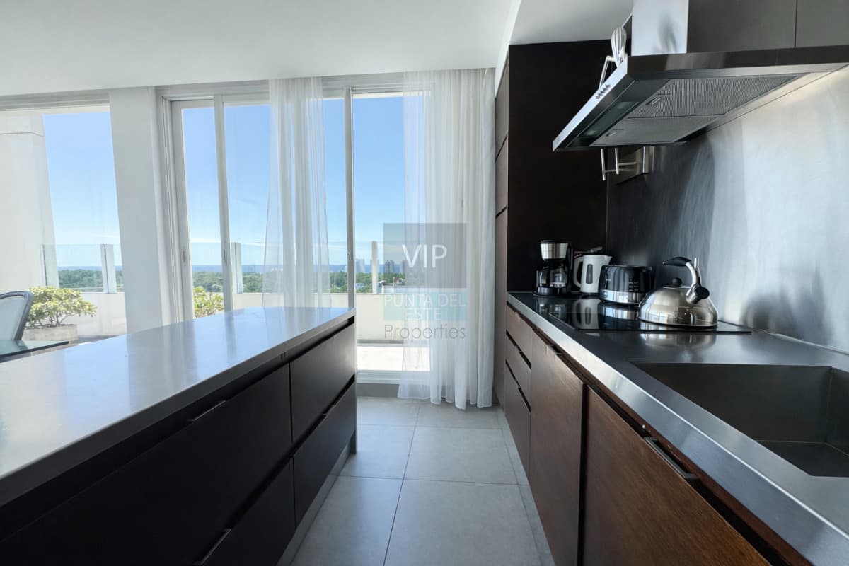 Penthouse En Torre Yoo