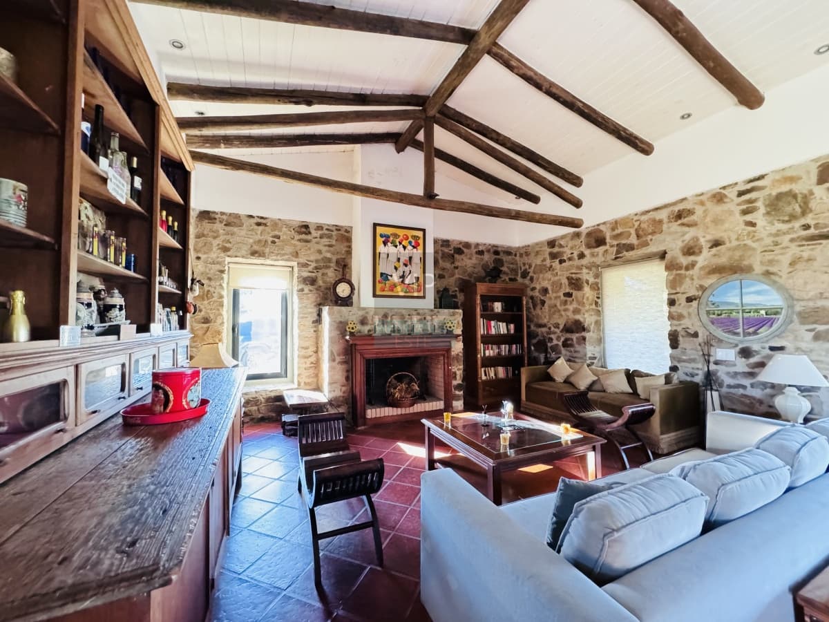 Chacra en Venta 5 hectáreas Pueblo Edén con olivos