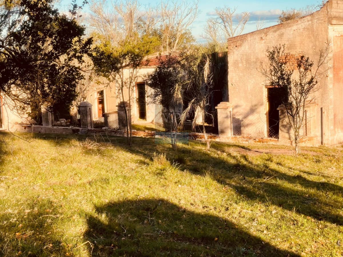 Venta campo 86 hectáreas Aiguá - Uruguay