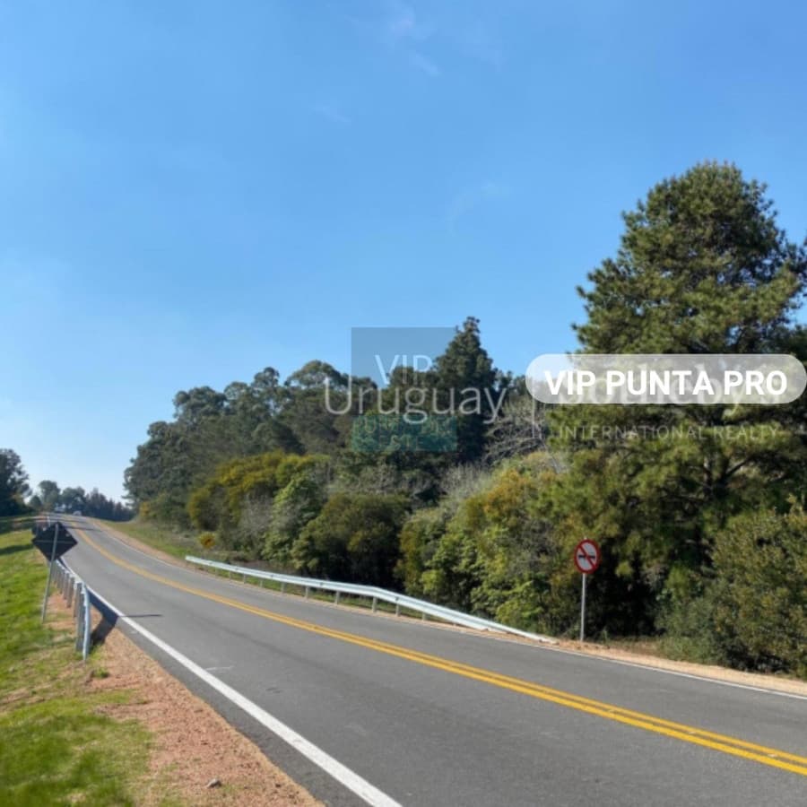 Chacra en venta Laguna del Sauce - Punta Ballena