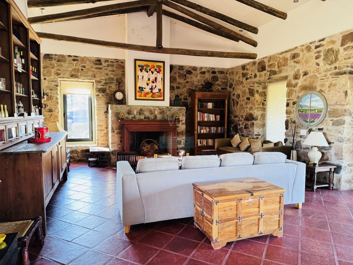 Chacra en Venta 5 hectáreas Pueblo Edén con olivos