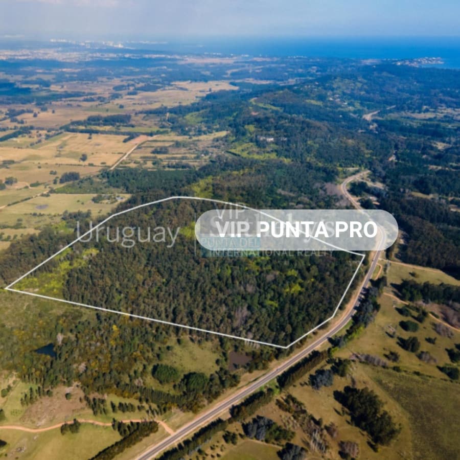 Chacra en venta Laguna del Sauce - Punta Ballena