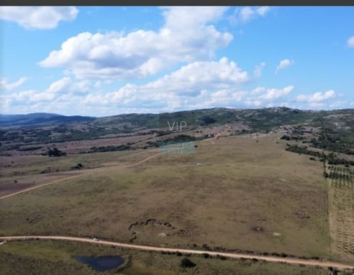 Chacras de 5 hectáreas a minutos de Punta del Este