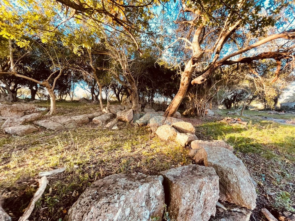 Venta campo 86 hectáreas Aiguá - Uruguay