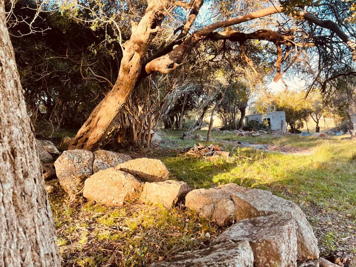 Venta campo 86 hectáreas Aiguá - Uruguay