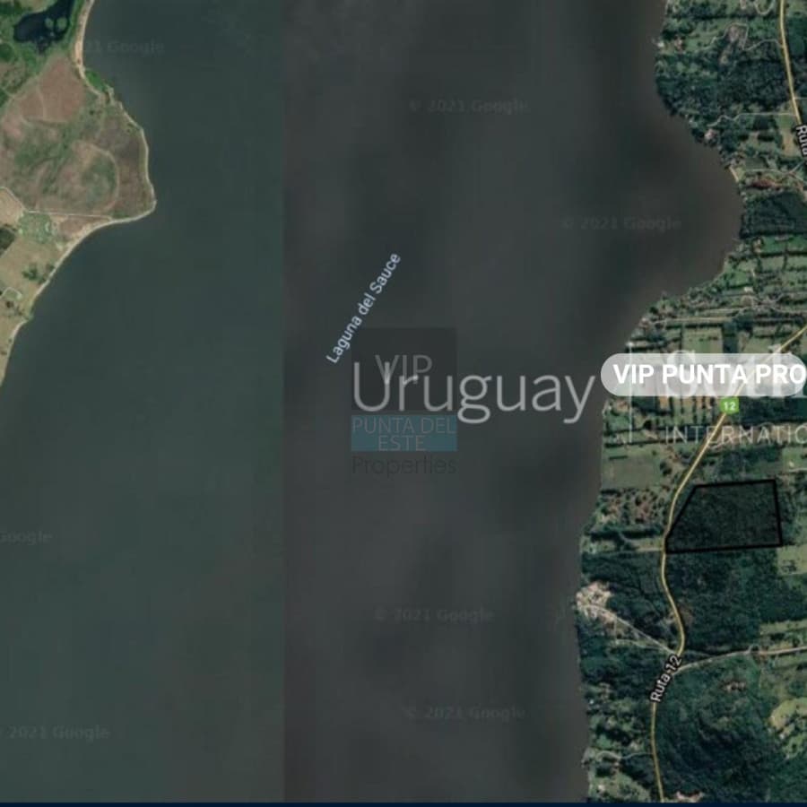 Chacra en venta Laguna del Sauce - Punta Ballena