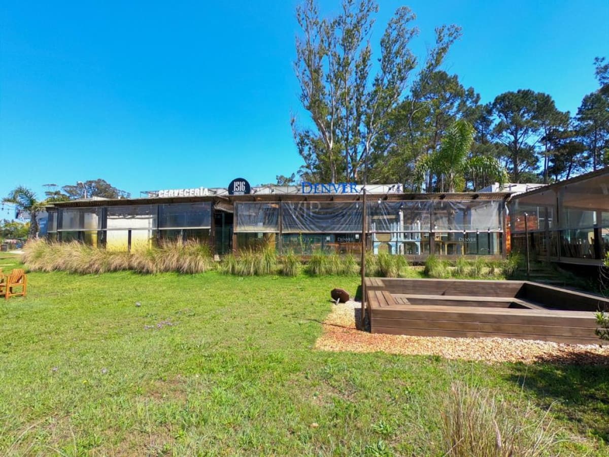 Venta local en Punta Ballena