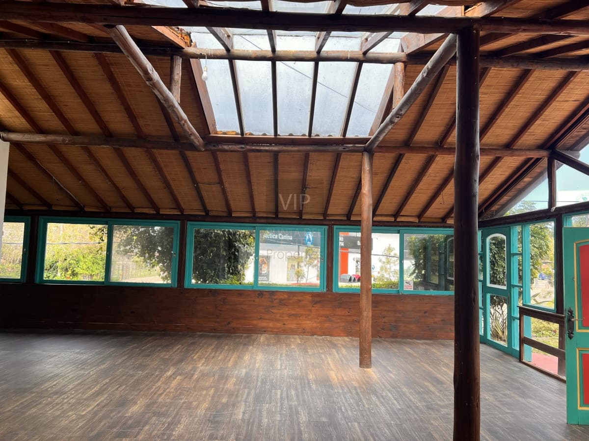 Venta local en Punta del Este Uruguay