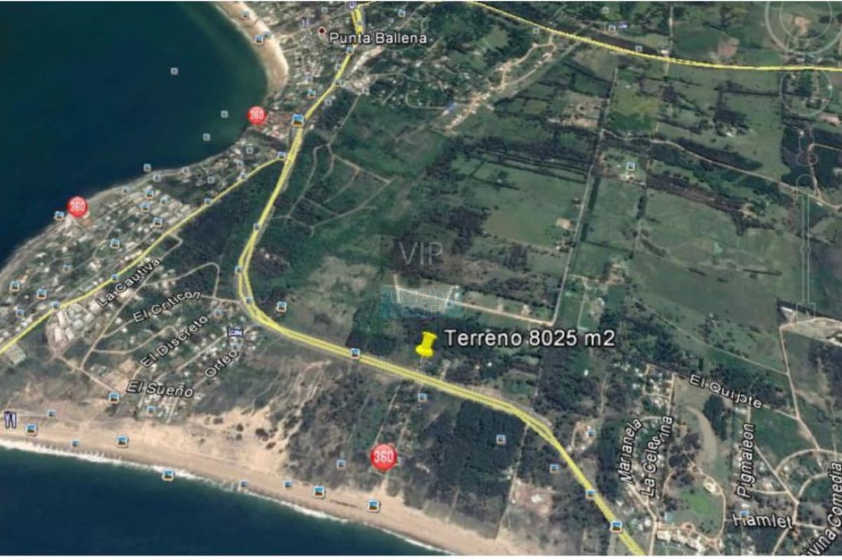 Lote en venta para desarollo Punta Ballena para proyecto
