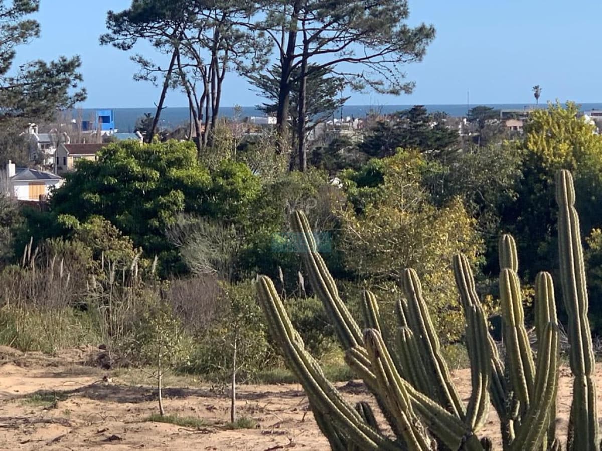 Venta terreno en La Barra - Punta del Este