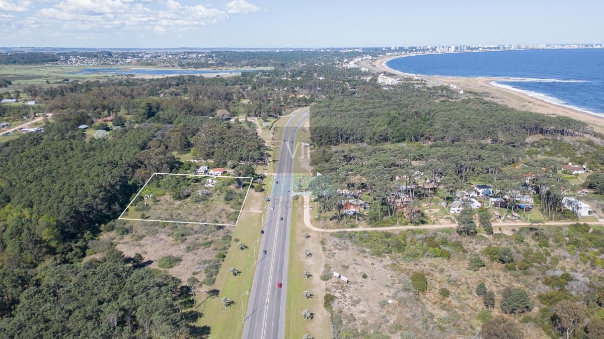Lote en venta para desarollo Punta Ballena para proyecto