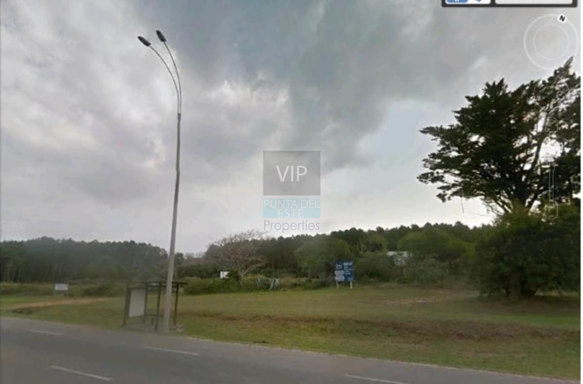 Lote en venta para desarollo Punta Ballena para proyecto