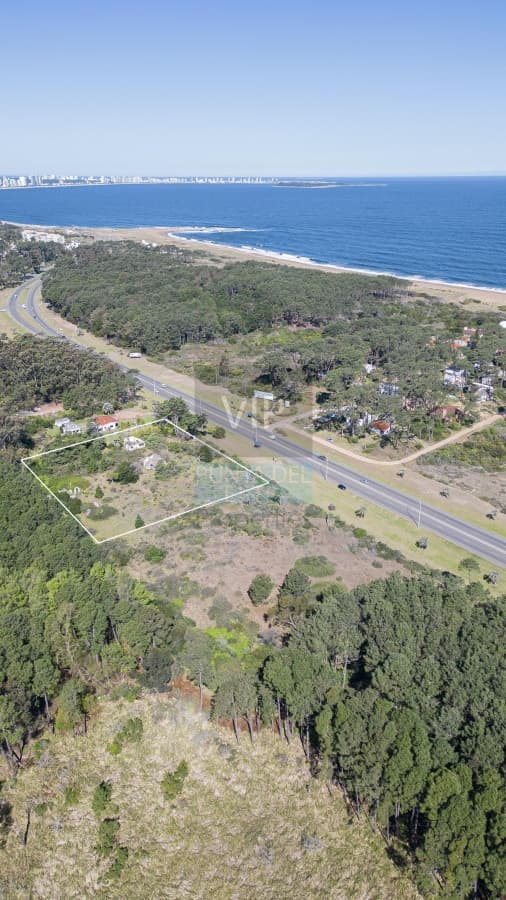 Lote en venta para desarollo Punta Ballena para proyecto