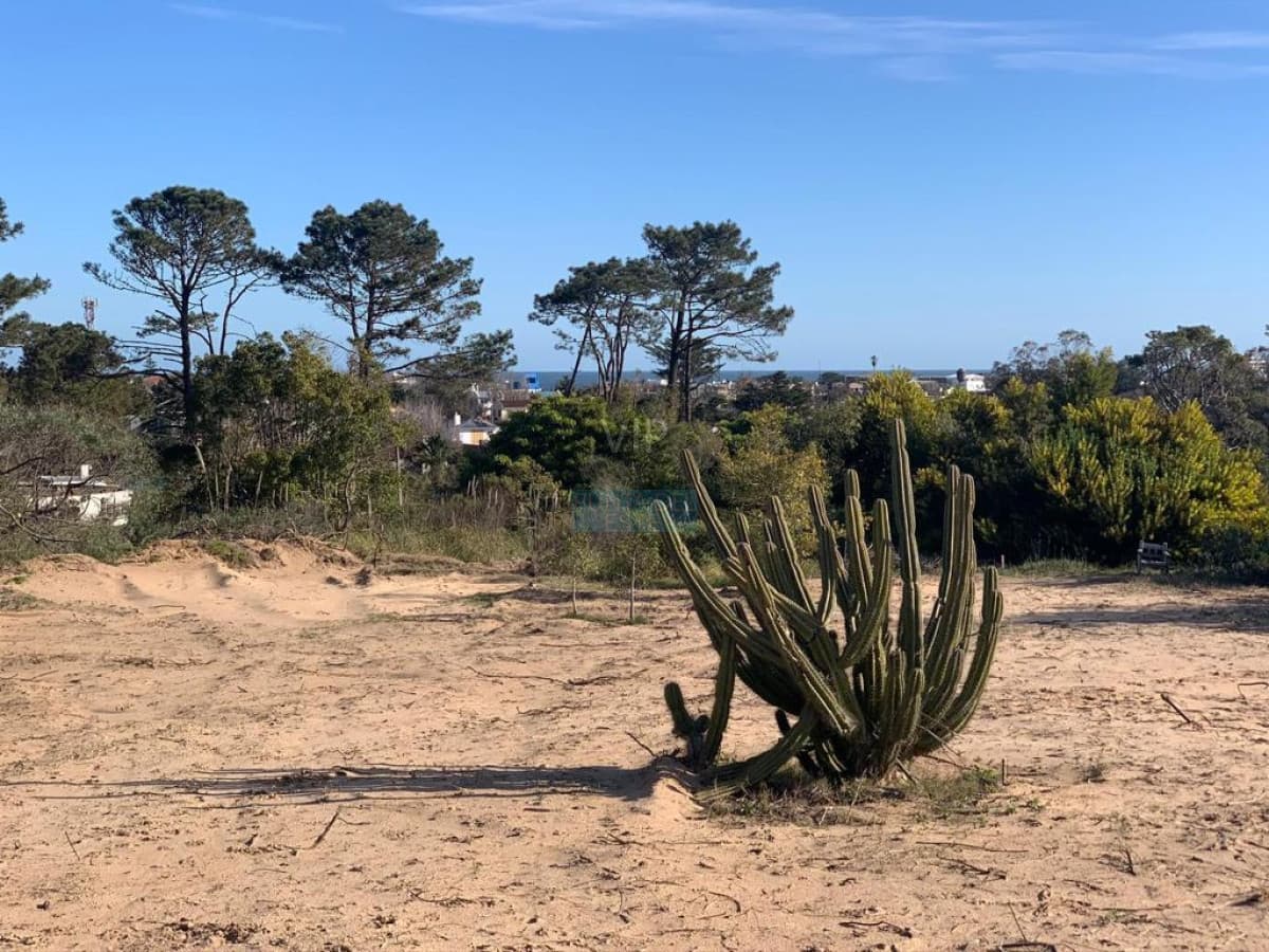 Venta terreno en La Barra - Punta del Este