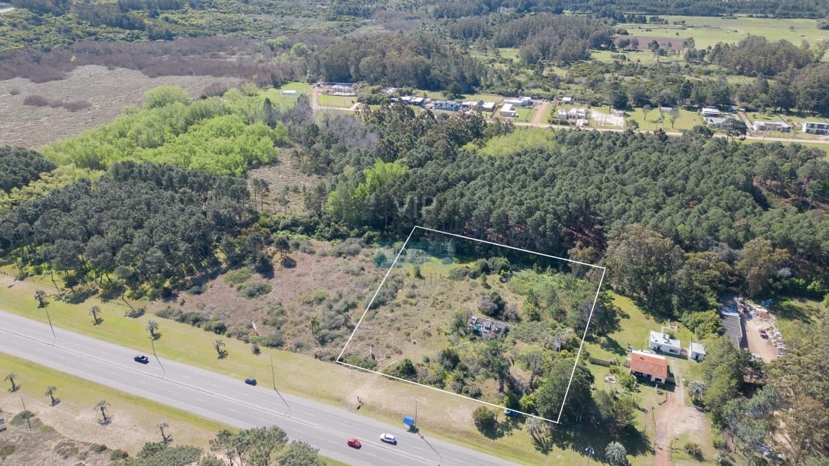 Lote en venta para desarollo Punta Ballena para proyecto